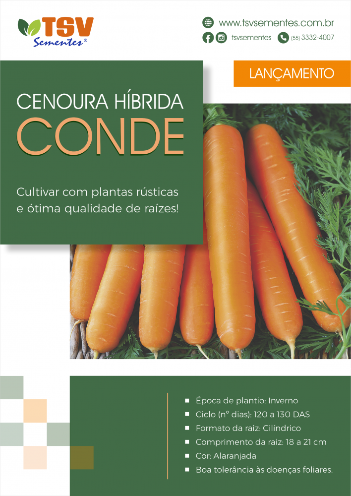 Folder Cenoura Conde